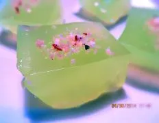 Margaritas Squares