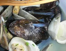 Mussels Mariniere