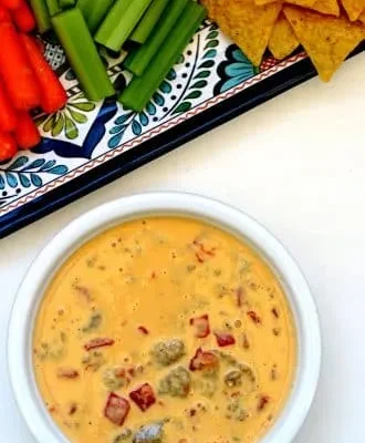 Ninja Queso Cheese Dip