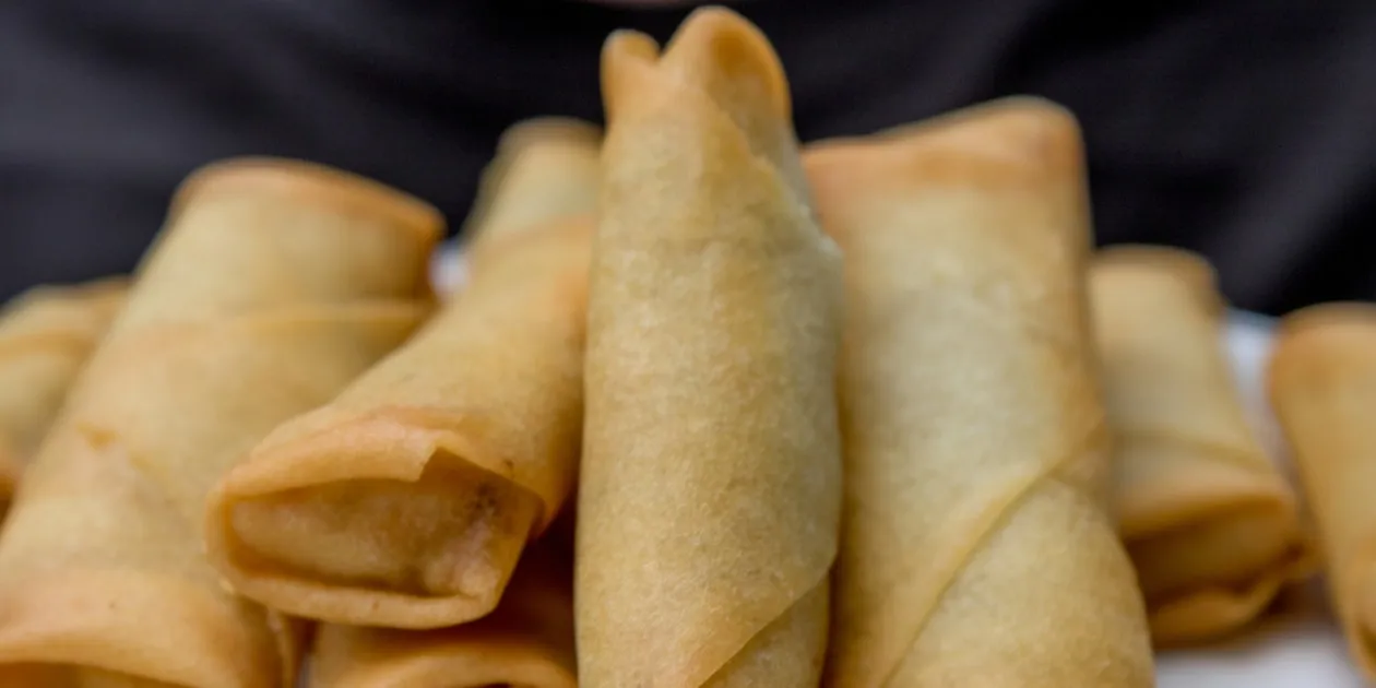 Noodles Spring Rolls | Spring Rolls | Veg Spring