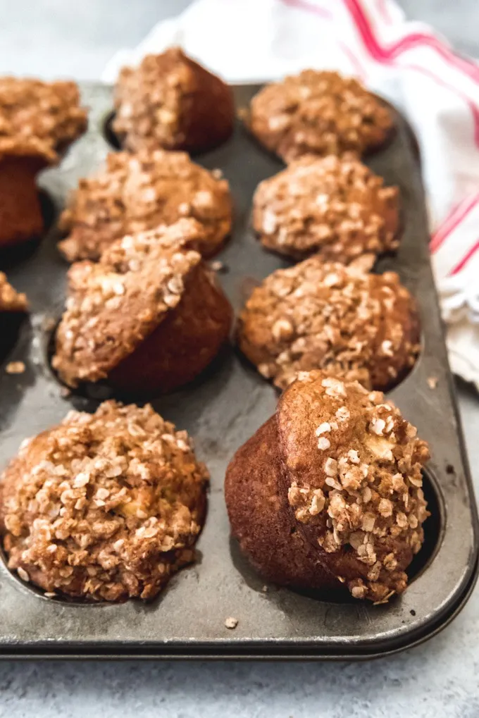 Oatmeal Apple Nut Muffins