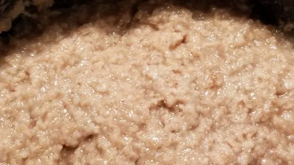 Oatmeal Cooked In A Rice Cooker