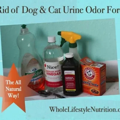 Odor-Be-Gone Pet Urine Remover