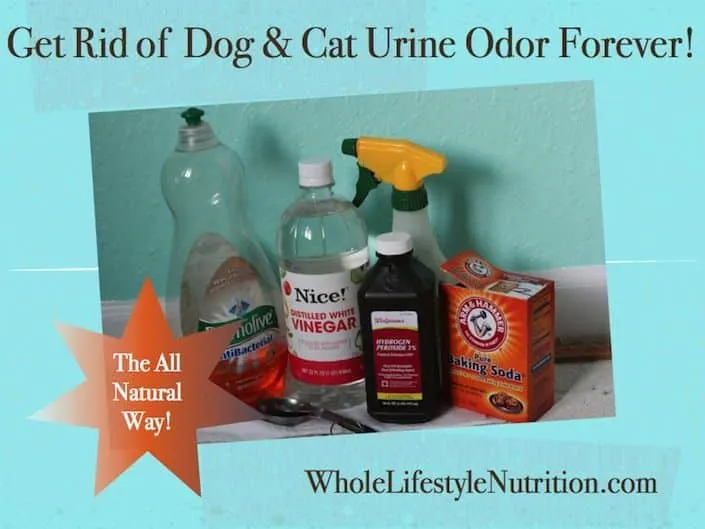 Odor-Be-Gone Pet Urine Remover