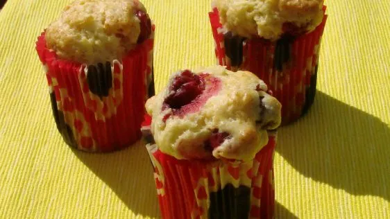 Orange- Cranberry Muffins For