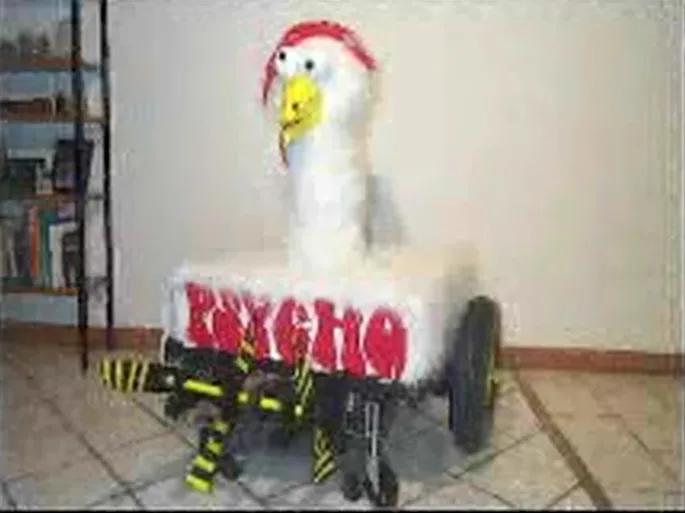 Original Psycho Chicken