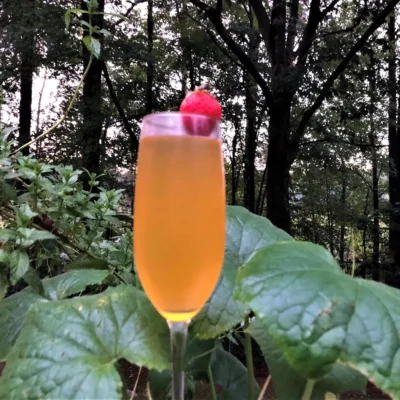 Passion Fruit Mimosa