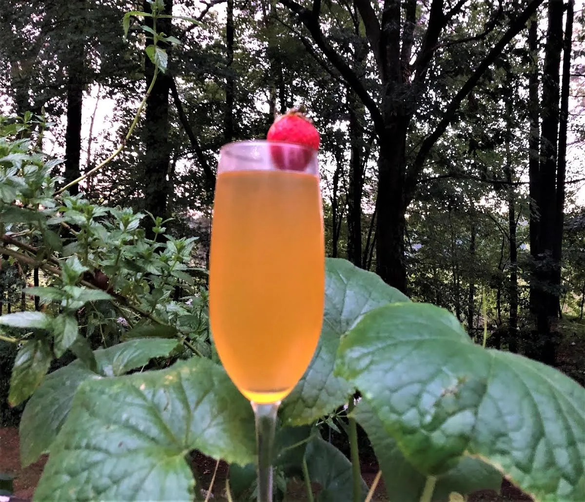 Passion Fruit Mimosa