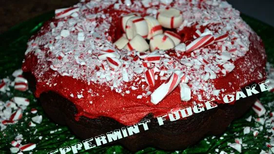 Peppermint Fudge Cake