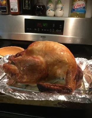 Perfect Turkey In An Electric Roaster Oven