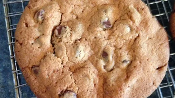 Perfectly Chewy Chocolate Chip Cookie Delight