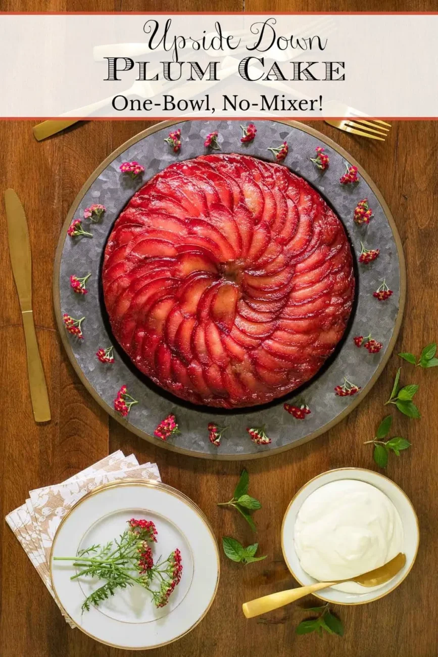 Plum -Apricot Upside-Down Cake