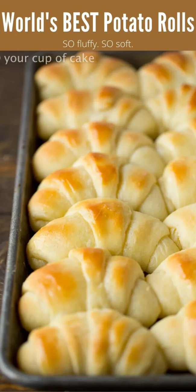 Potato Rolls