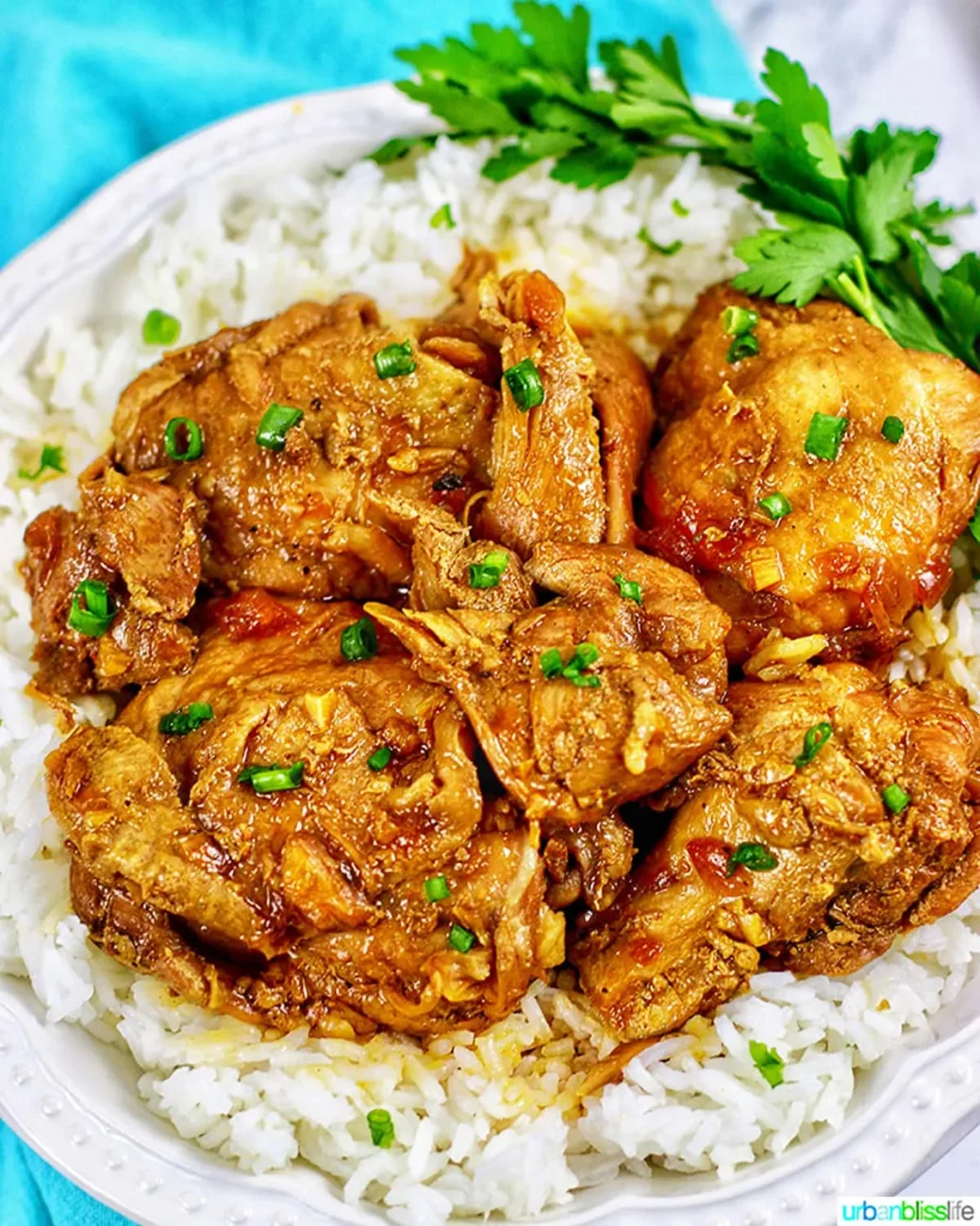 Pressure Cooker Chicken Adobo