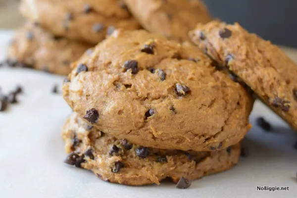 Pumpkin Chocolate Chip Cookies Gift Mix