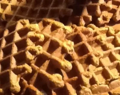 Pumpkin Sourdough Waffles