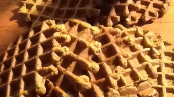 Pumpkin Sourdough Waffles