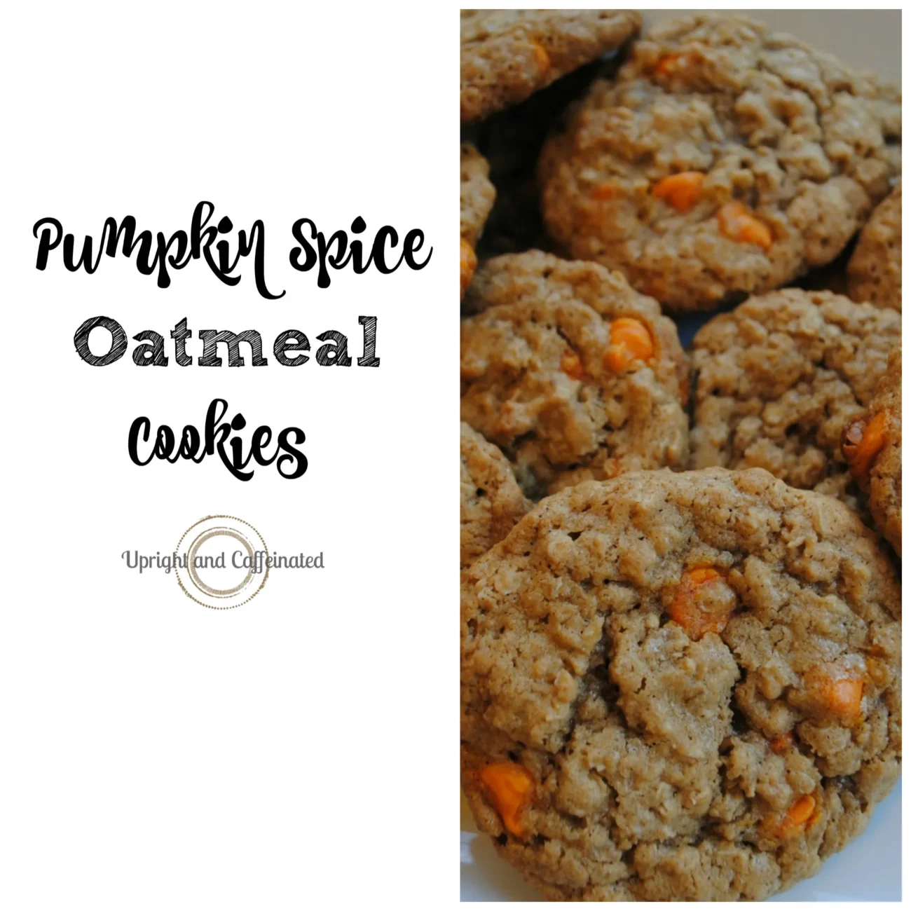 Pumpkin Spiced Oatmeal Pecan Cookies