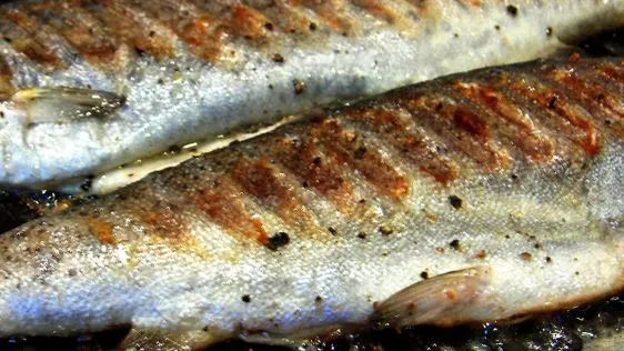 Quick Grilled Trout