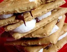 Quick And Easy Microwave S'Mores Recipe