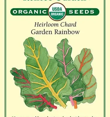 Rainbow Swiss Chard