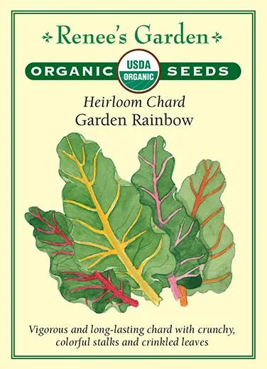 Rainbow Swiss Chard