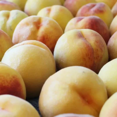 Raw Pack Peaches In Light Syrup