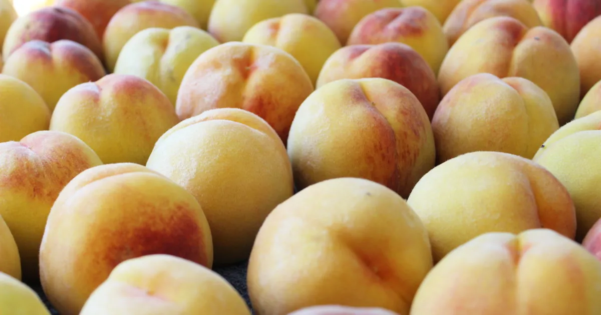 Raw Pack Peaches In Light Syrup