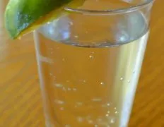 Refreshing Citrus Sparkler: Lime &Amp; Lemon Fizz Recipe