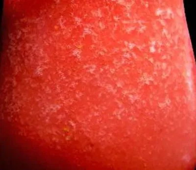 Refreshing Fat-Free Strawberry Lemonade Slush Recipe