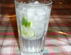 Refreshing Vodka Tonic Cocktail Recipe