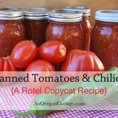 Rotel Tomatoes Homemade Copycat