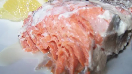 Salmon In Cream