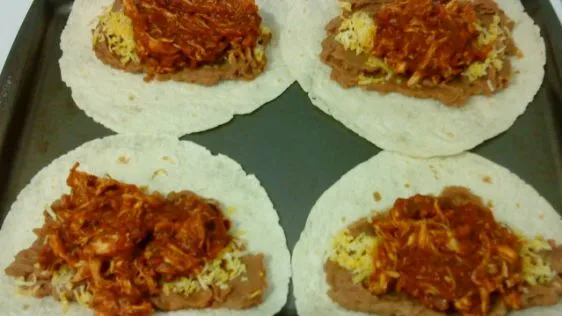 Salsa Chicken Burrito Filling