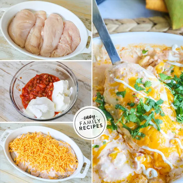 Salsa Cream Chicken