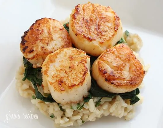 Scallops Over Wilted Spinach Parmesan Risotto