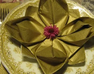 Serviette/Napkin Folding