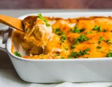 Simply Sour Cream Chicken Enchiladas