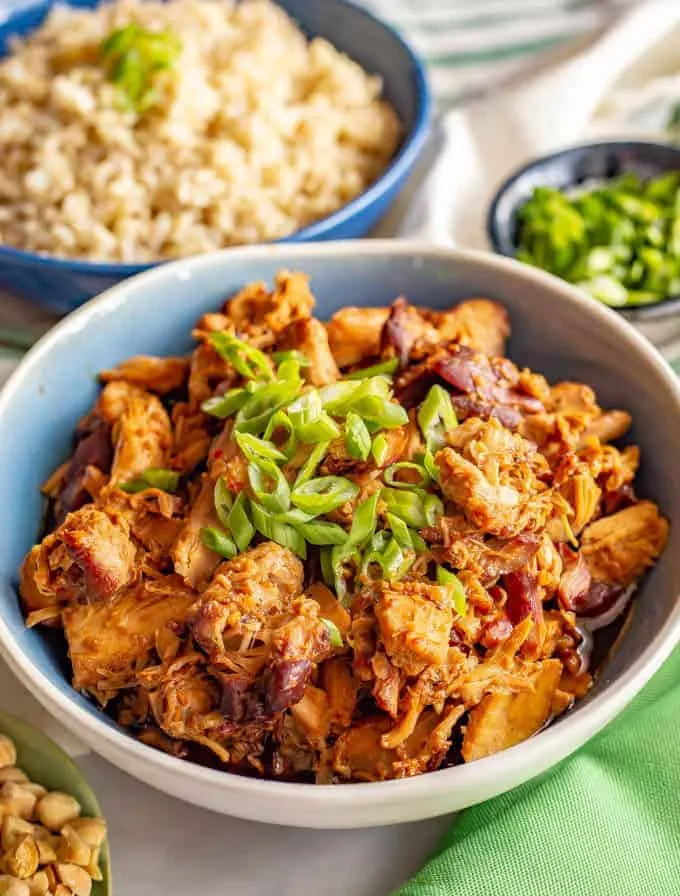 Slow Cooker Honey Garlic Chicken