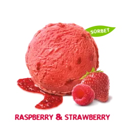 Strawberry and Raspberry Sorbet Delight: A Refreshing Dessert Recipe