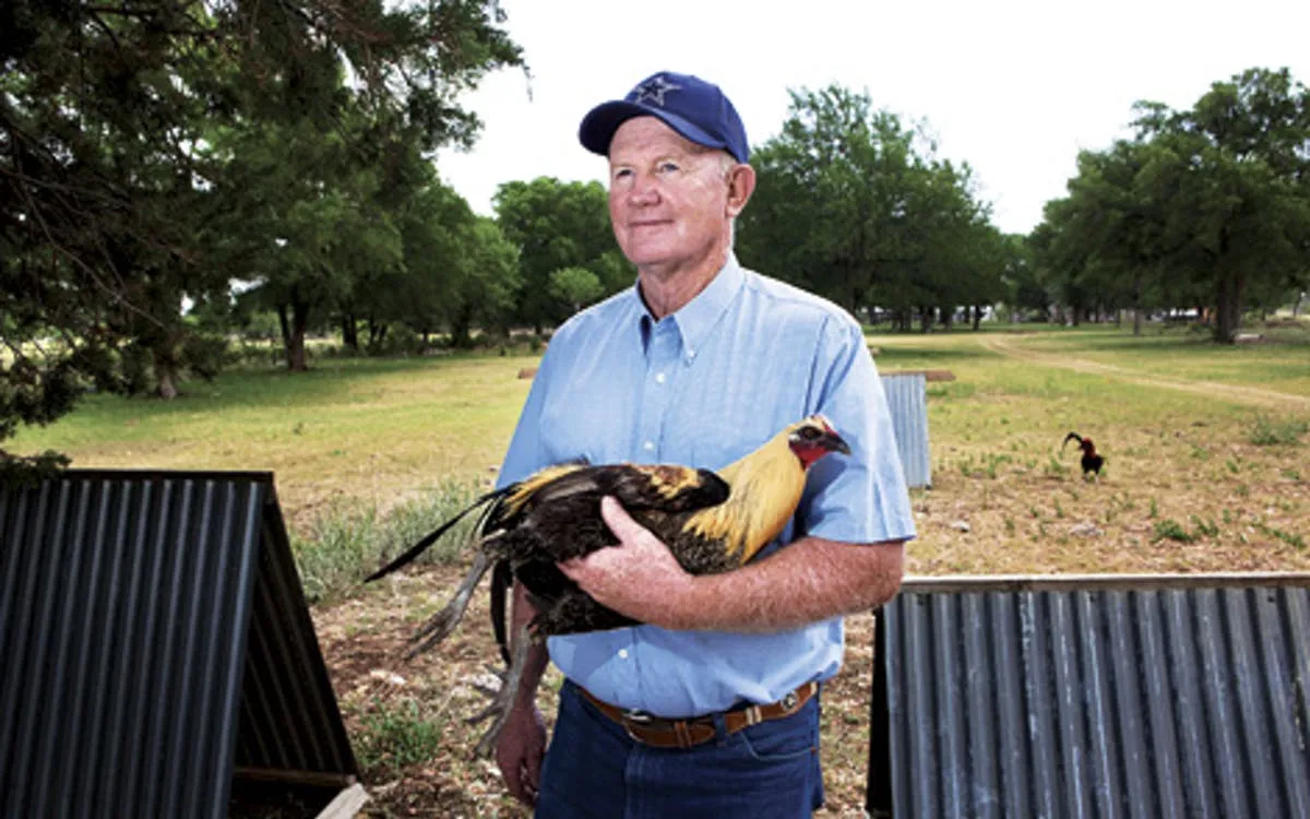 Succulent Texas-Style Cornish Game Hens Recipe