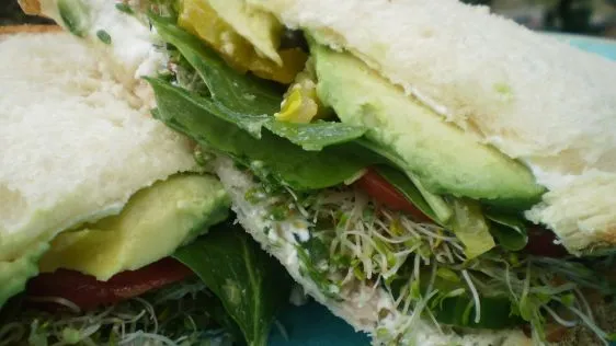 Ultimate Fresh Cucumber Veggie Delight Sandwich