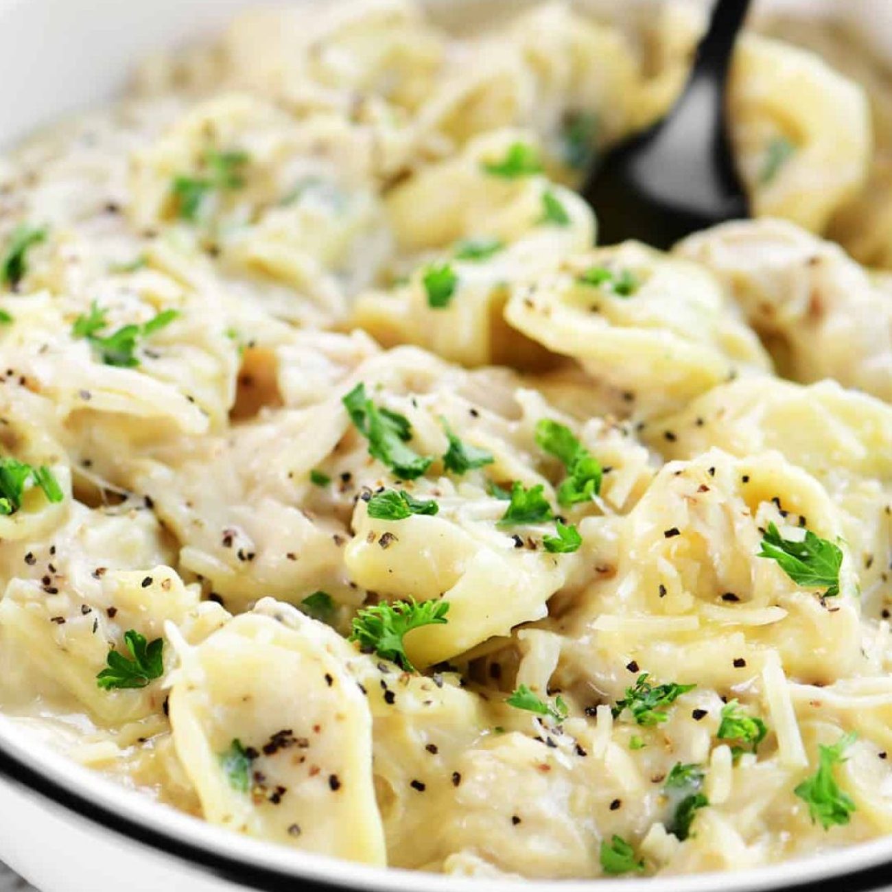 Alfredo Chicken Tortellini