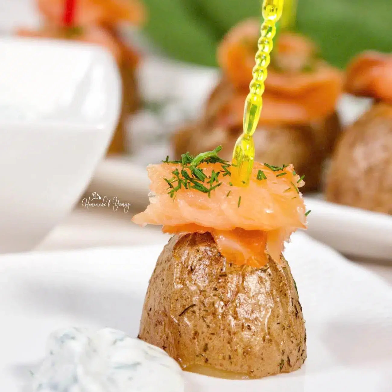 Appetizer Salmon Mini Fillets