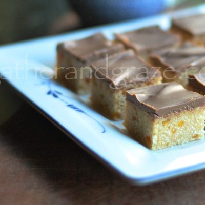 Apricot And Coconut No- Bake Squares