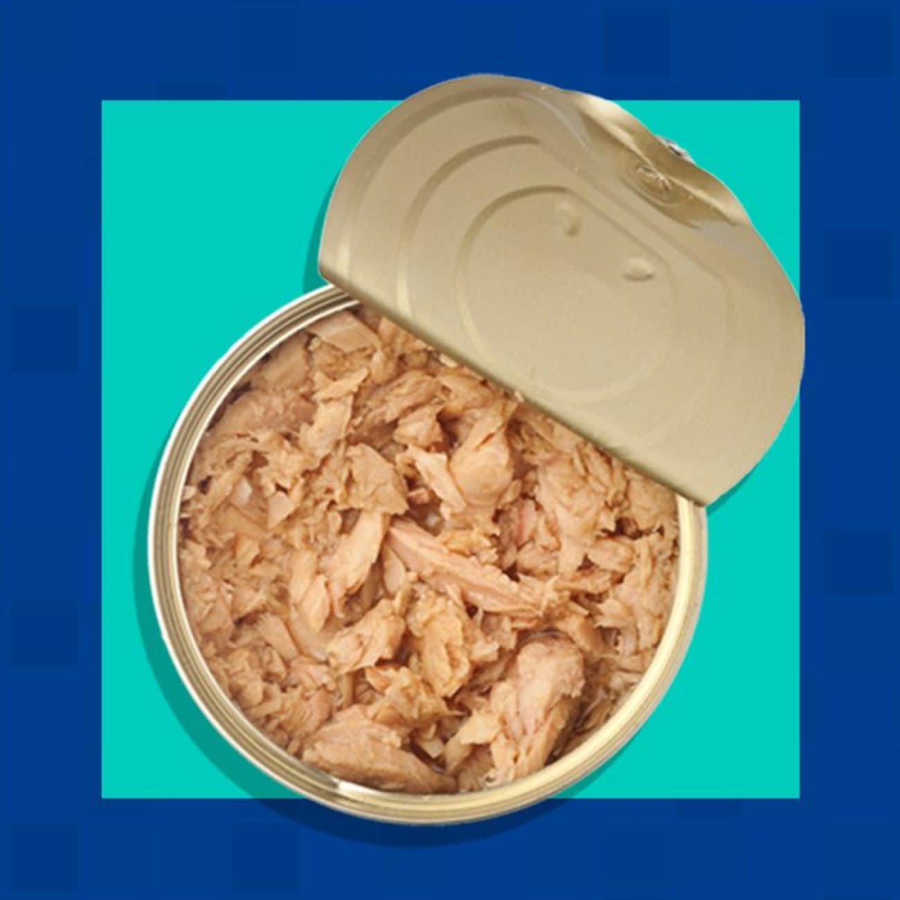 Ar Can Tuna Getty 2X1 8Be80652E1184Ccc8Bfa2D33Fab94444