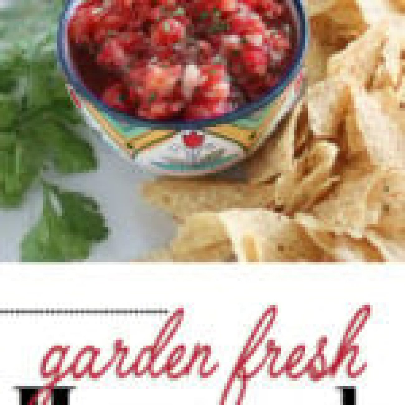 Aunt Connies Garden Fresh Salsa For