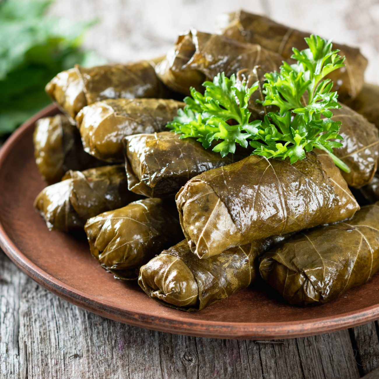 Authentic Stuffed Vine Leaves Recipe – Traditional Dolmas Guide