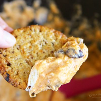 Baked Cheese Fiesta Dip