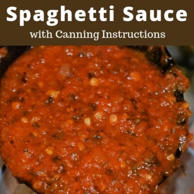 Basic Canned Spaghetti Sauce